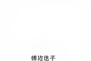 《七年之痒的猫》剧集封面，沙发上打盹的橘猫